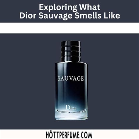 dior sauvage fresh|dior sauvage smells like.